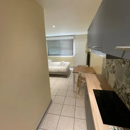 Appartement Ou En Hyper Centre, Pour La Et La Rue Pietonne Il Suffit De Traverser La Rue , La Photo Principale *