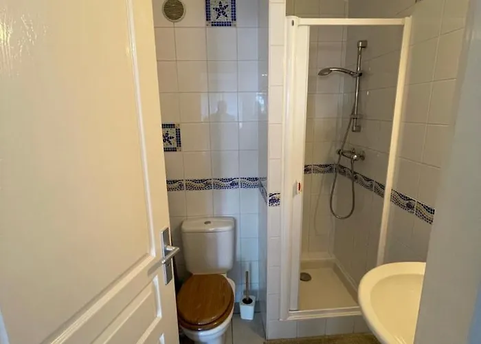 Appartement Ou En Hyper Centre, Pour La Et La Rue Pietonne Il Suffit De Traverser La Rue , La Photo Principale